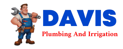 Trusted plumber in DEMOPOLIS